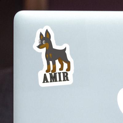 Autocollant Amir Pinscher Gift package Image