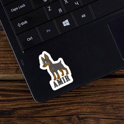 Sticker Amir Pinscher Laptop Image