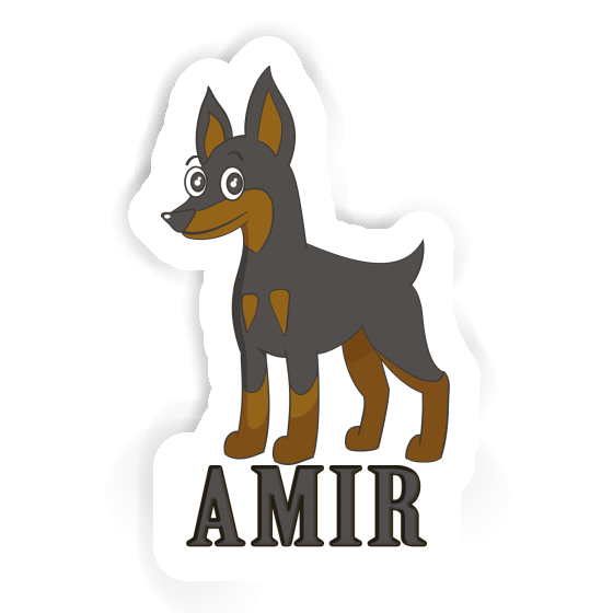 Autocollant Amir Pinscher Gift package Image