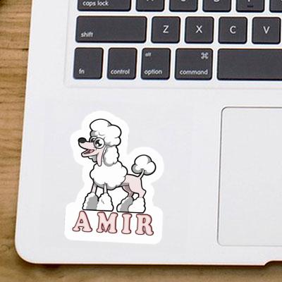 Autocollant Caniche Amir Laptop Image