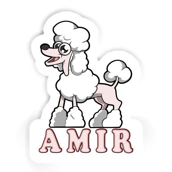 Autocollant Caniche Amir Gift package Image