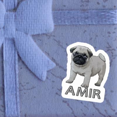 Amir Aufkleber Mops Amir Aufkleber Mops Image