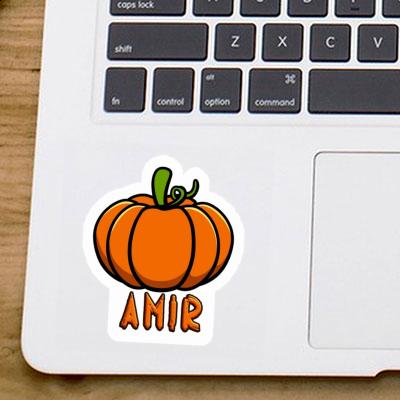 Sticker Kürbis Amir Notebook Sticker Kürbis Amir Notebook Image