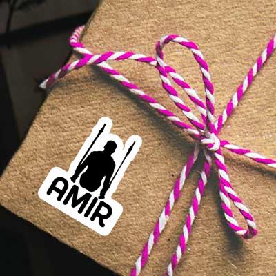 Amir Sticker Ring gymnast Laptop Image