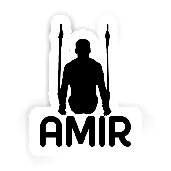 Amir Sticker Ring gymnast Image