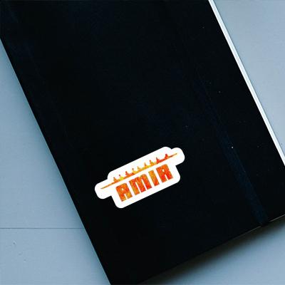 Amir Sticker Rowboat Laptop Image