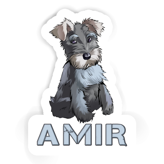 Schnauzer Autocollant Amir Gift package Image