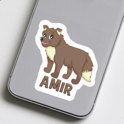 Autocollant Chien Amir Image