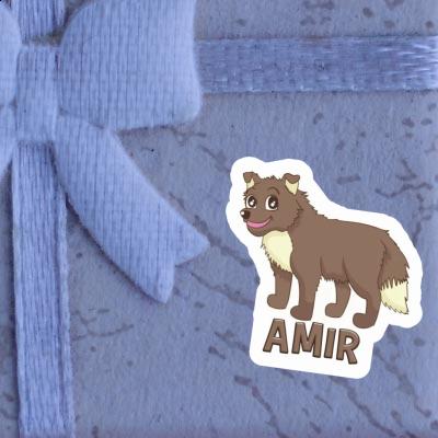 Autocollant Chien Amir Gift package Image