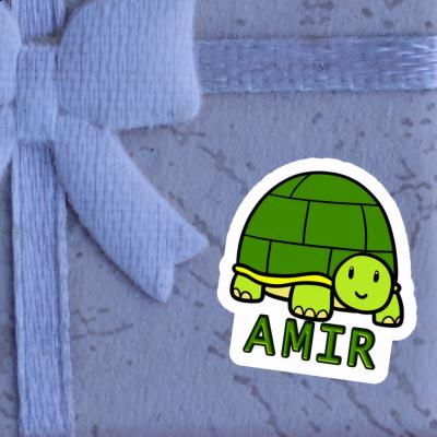 Amir Autocollant Tortue Gift package Image