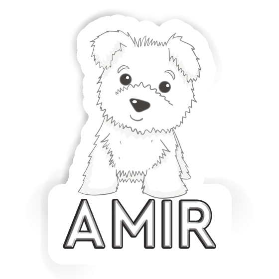 Autocollant Terrier Amir Gift package Image