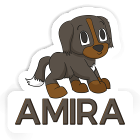 Sticker Amira Berner Sennenhund Image