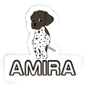 Sticker Amira Deutsch Kurzhaar Image