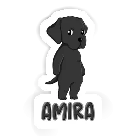 Sticker Amira Labrador Image