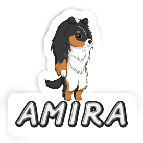 Sticker Amira Sheltie Image