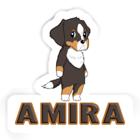 Sticker Amira Berner Sennenhund Image