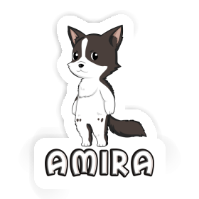 Border Collie Sticker Amira Image