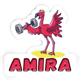 Weight Lifter Sticker Amira Image