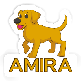 Aufkleber Amira Labrador Image