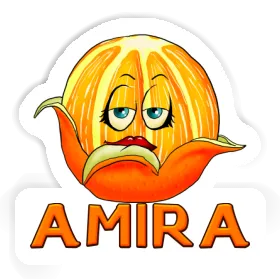 Sticker Orange Amira Image