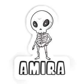 Amira Sticker Skeleton Image