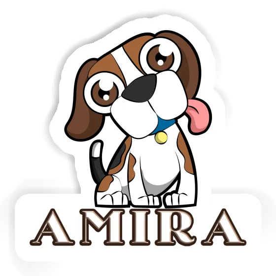 Autocollant Amira Beagle Gift package Image