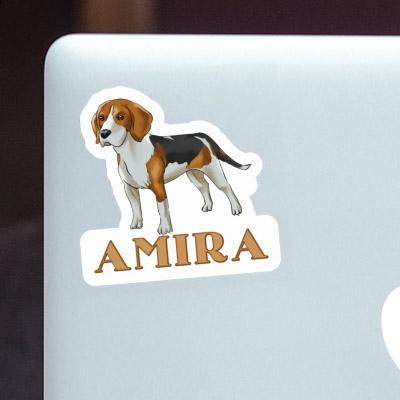 Beagle Dog Sticker Amira Gift package Image