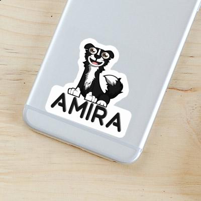 Amira Sticker Border Collie Gift package Image