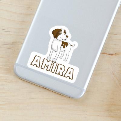 Sticker Amira Brittany Spaniel Gift package Image