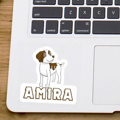 Bretagne Spaniel Sticker Amira Laptop Image