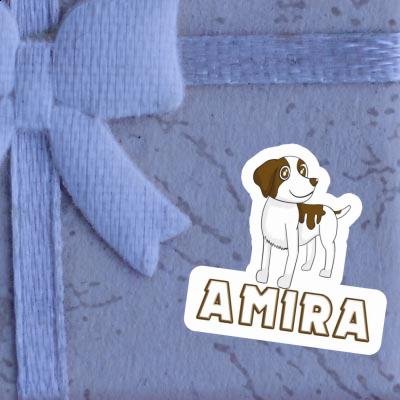 Sticker Amira Brittany Spaniel Gift package Image