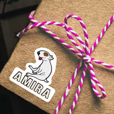 Amira Sticker Bull Terrier Gift package Image