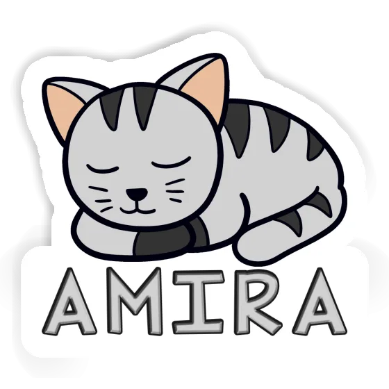 Sticker Amira Cat Gift package Image