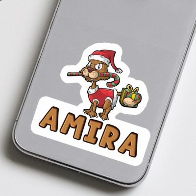 Sticker Amira Christmas Cat Gift package Image