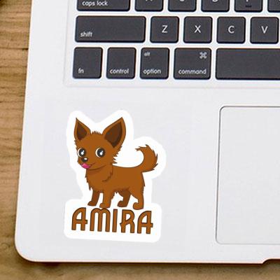 Aufkleber Chihuahua Amira Gift package Image