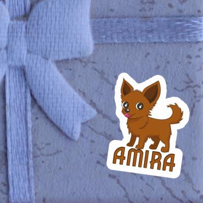 Sticker Amira Chihuahua Image