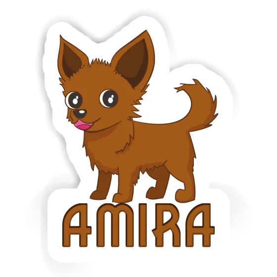 Sticker Amira Chihuahua Gift package Image