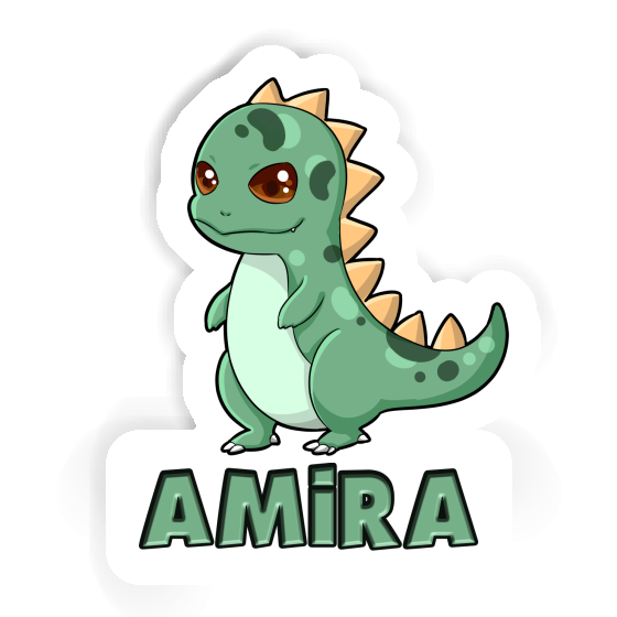 Dino Sticker Amira Gift package Image