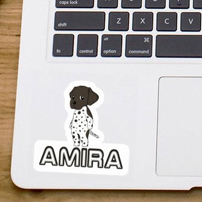 Sticker Amira German Shorthaired Pointer Gift package Image