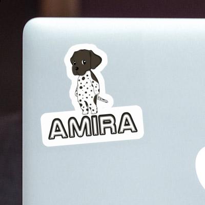 Sticker Amira German Shorthaired Pointer Image