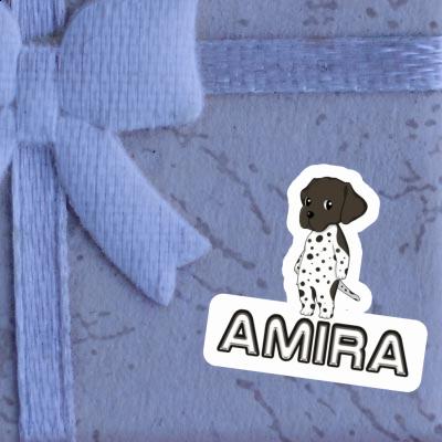 Sticker Amira German Shorthaired Pointer Image