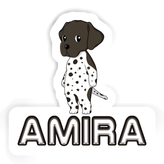 Sticker Amira German Shorthaired Pointer Gift package Image