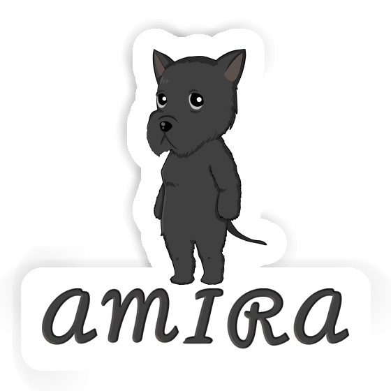 Sticker Giant Schnauzer Amira Image