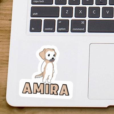 Golden Yellow Sticker Amira Image