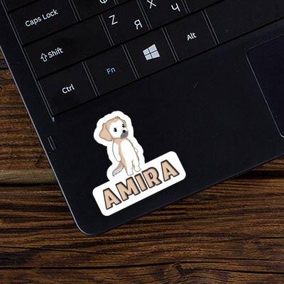 Amira Autocollant Golden Retriever Gift package Image