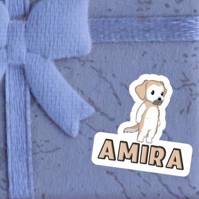 Amira Autocollant Golden Retriever Gift package Image