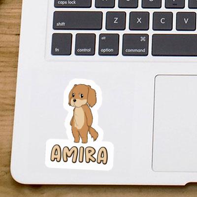 Sticker Hovawart Amira Laptop Image