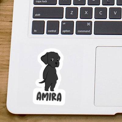 Labrador Retriever Autocollant Amira Gift package Image