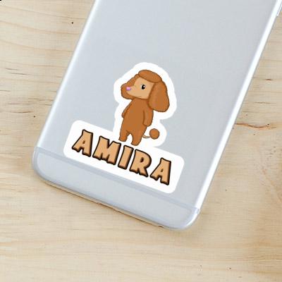 Amira Sticker Poodle Gift package Image