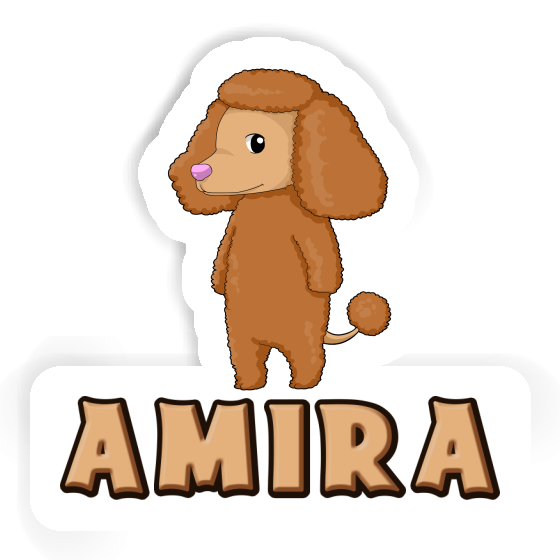 Caniche Autocollant Amira Gift package Image